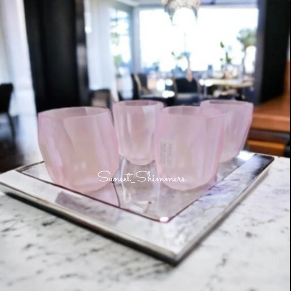 4pc RACHEL ZOE Frosted PINK ACRYLIC CRYSTAL TUMBLER Drink GLASS SET New